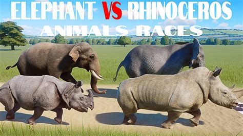 Elephant Vs Rhinoceros Animals Speed Races In Planet Zoo Included