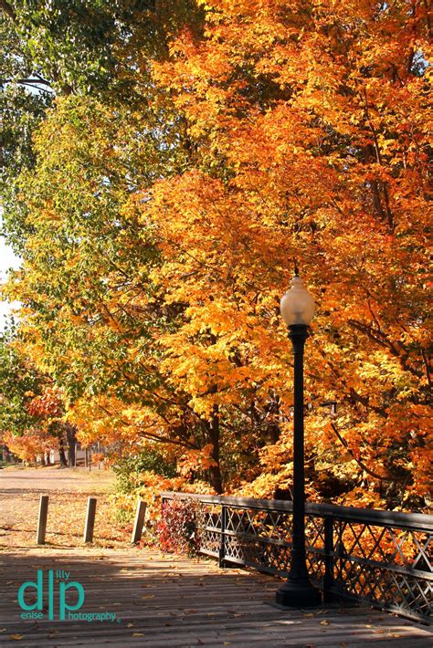 Denise Lilly Photography Fall Foliage Bayfield Wi And Pictured Rocks