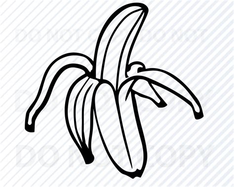 Banana Svg Archivo Fruit Vector Images For Silhouette Clip Etsy España