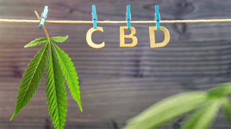 The Science Behind Cbd How It Interacts With The Human Body Chart Attack