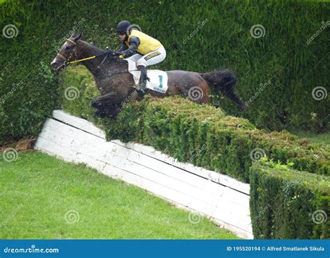 A Single Horse With A Jockey Getting Over Hurdle Editorial Stock Image