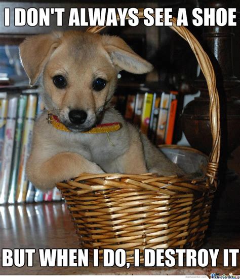 22 Funny National Puppy Day 2019 Memes That Are Also Just Adorable