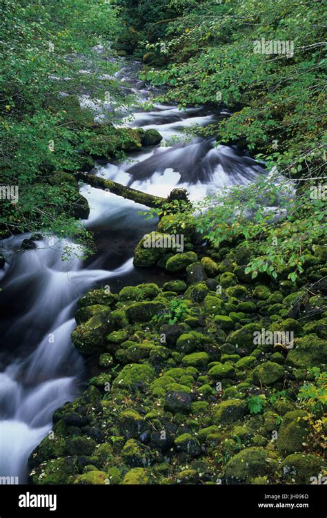 Rush Creek Ford Pinchot National Forest Washington Stock Photo Alamy