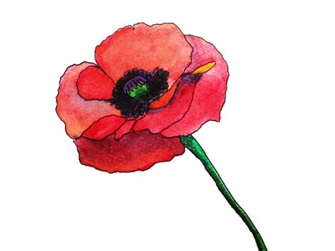 Right from the start, our vision has been to make more great resources available to web designers for free, and to help creatives to realize their best work. Crayon "Watercolor" Flowers Using Photoshop