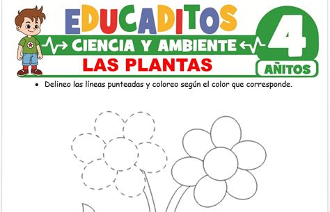 Las Plantas Para Niños De 4 Años