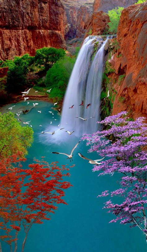 Visual Escape Beautiful Photography Nature Waterfall