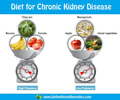 This time, kdigo has brought us their first guidelines on diabetes management in chronic kidney disease (ckd), where we find recommendations about comprehensive care, glycemic monitoring and targets. CKD Diet Plan: Foods and Diet for Chronic Kidney Disease ...
