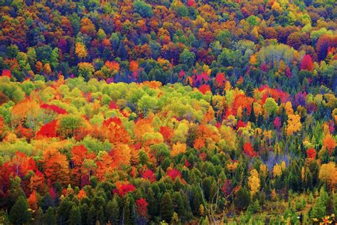 Fall Season In Petoskey Mi From Deadman Hill In Hdr Flickr