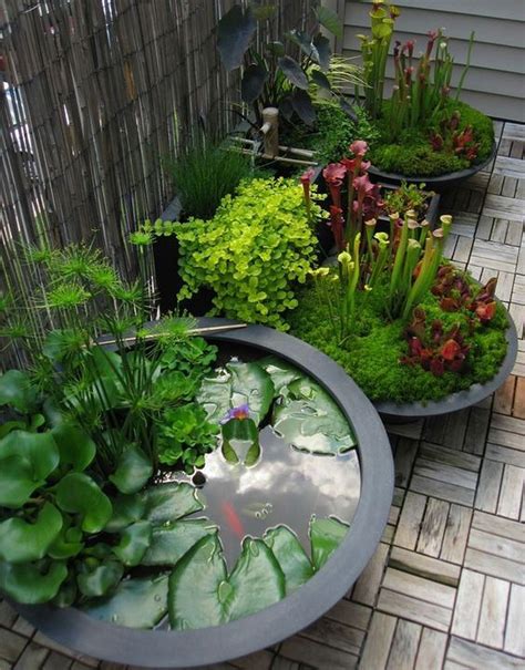 Diy Mini Ponds In A Pot 6 Ponds Backyard Container Water Gardens