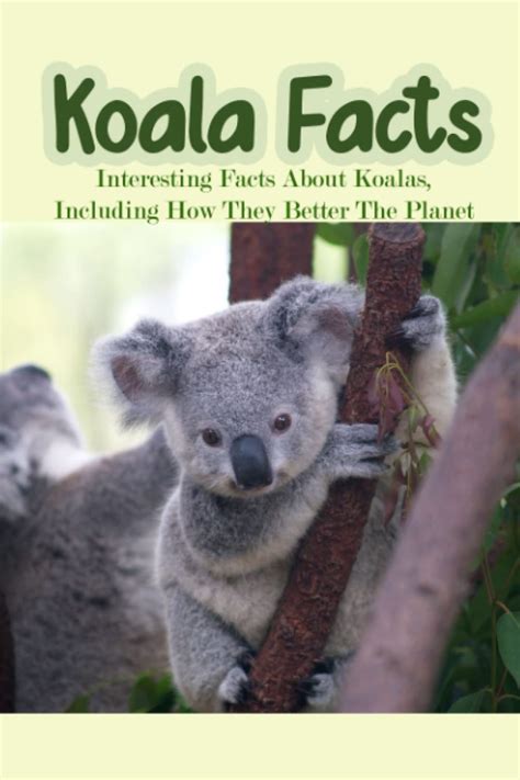 Buy Koala Facts Interesting Facts About Koalas Including How They