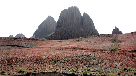 Africa Algeria Desert Hoggar Mountains Landscape Rock Sahara Stone