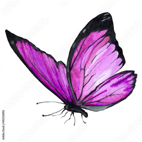 Butterfly Purple Watercolor Illustration Handmade Stockfotos Und