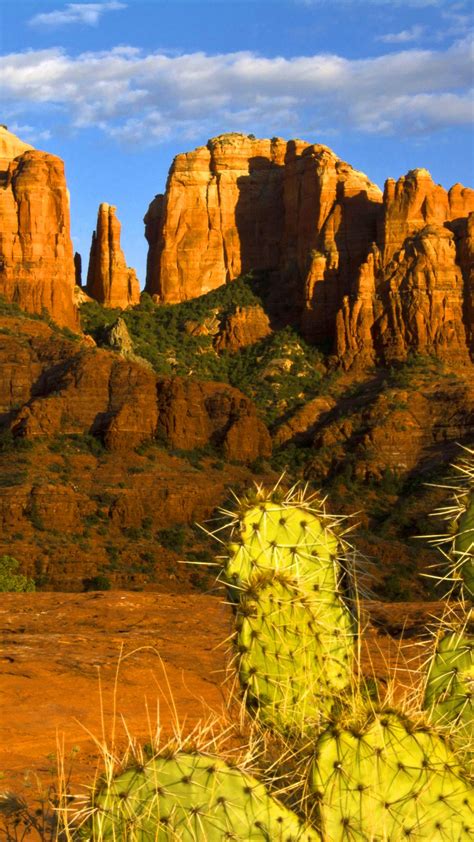 Arizona Desert Wallpapers Top Free Arizona Desert Backgrounds