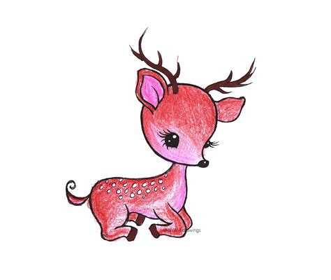 Baby Deer Color Drawing Colorful Drawings Baby Deer Drawings