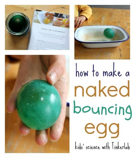 Naked Egg Experiment With Tinkerlab Nurturestore