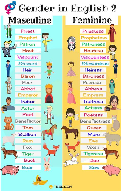 Gender Nouns List Nouns Learn English Words Learn English Grammar Hot Sex Picture