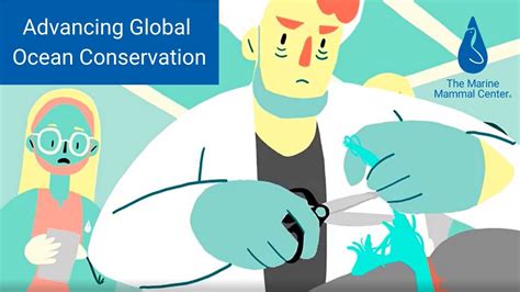 Advancing Global Ocean Conservation The Marine Mammal Center Youtube
