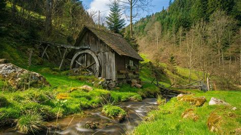 Old Mill In The Black Forest Reichenbach Germany Backiee