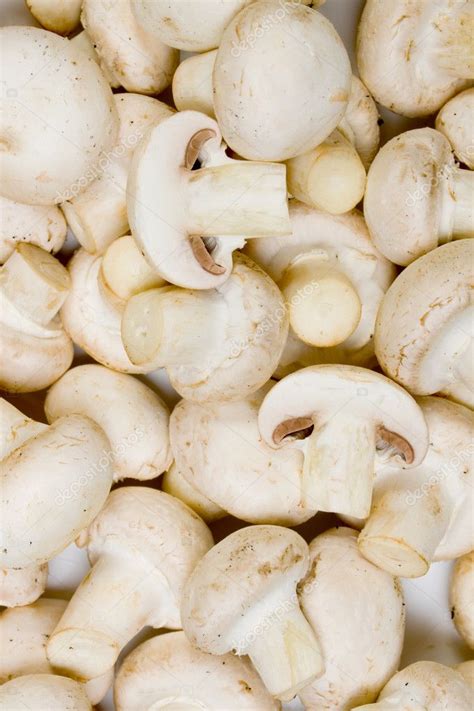 Edible White Button Mushrooms Stock Photo Igordutina 2799043