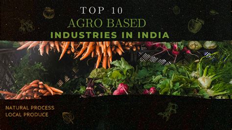 Top 10 Agro Based Industries In India Ibabhi