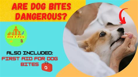 Should You Have A Tetanus Shot After A Dog Bite