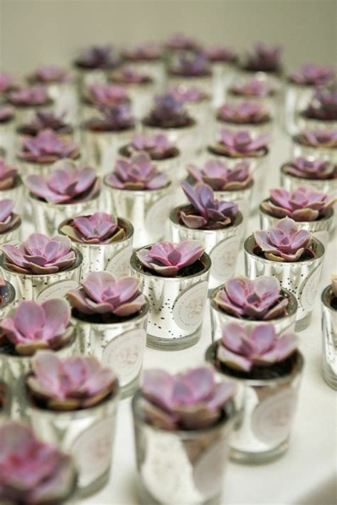 We Love Mini Succulent Party Favors By Bride And Blossom Nycs Only