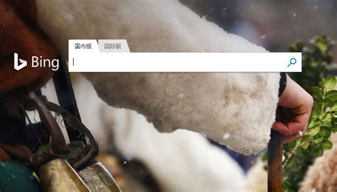 Microsofts Bing Ist In China Wieder Online Erklärungen Bleiben Aus
