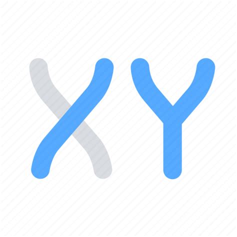 Chromosome Gen Xy Icon Download On Iconfinder