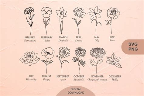Birth Month Flowers Svg Bundle Botanical Line Art Svg Png