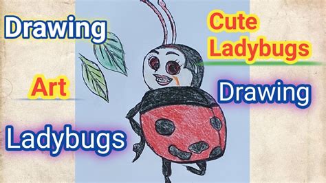 How To Draw Ladybugs Drawing Ladybugs Youtube