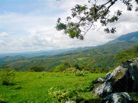 El Gobierno Declara Más De 1 400 Hectáreas Del Valle Del Cauca Como área Protegida