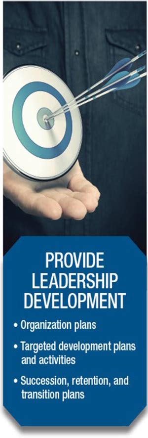 Provide Leadership Development Oec Strategic Solutions