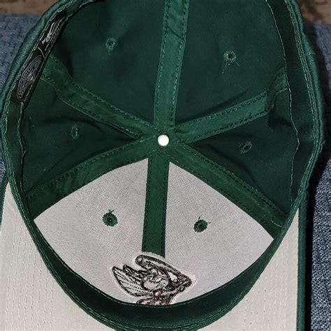 Vintage Minor League Savannah Sand Gnats Logo Snapback Hat OC Sports EBay