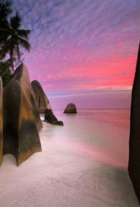 Beach At Sunset La Digue Seychelles Seychelles Rocks Shore Palm Tree Tree Plant Serene