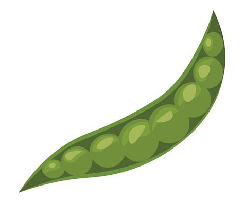 Premium Vector Green Peas