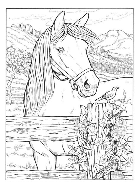 Great Horses Coloring Book Horse Coloring Pages Horse Coloring Books