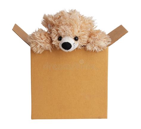 Teddy Bear Peeking Out Of A Box Stock Image Image Of Post Isolated