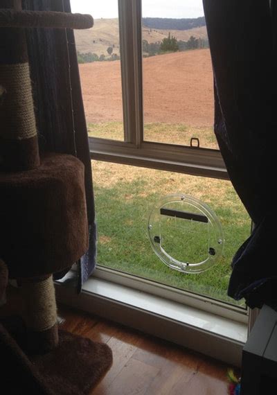 Glass dog doors is denver colorado's leading glass dog door and glass cat window installer. Pet Doors - Souwest Glass