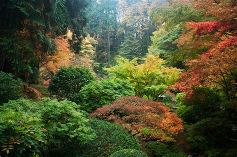 Portland Japanese Garden Botanic Garden In Portland