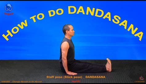 Staff Pose Stick Pose Dandasana Basic Yoga Vikudo
