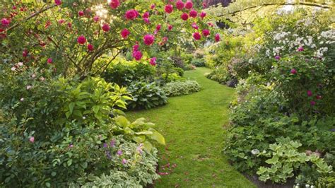 Une touche de modernité et de méditerranéen dans un seul jardin Jardin d'ornement: 5 conseils pour créer un jardin ...