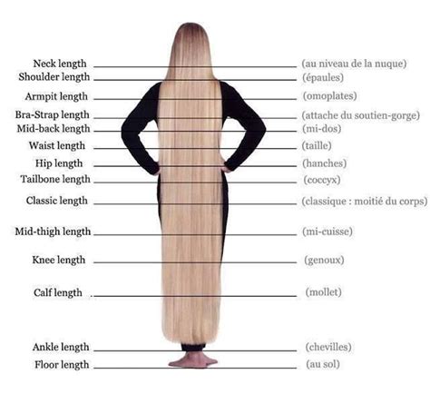 Long Hair Chart I Aiming For The Tailbone Length My Hair Right Now Is Almost Hip Length