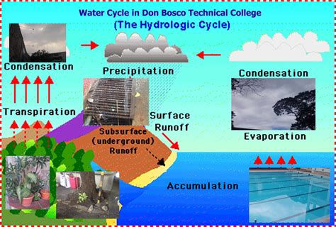 Environmental Science Water Cycle