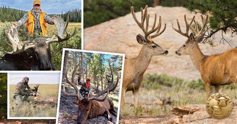 Colorado State Big Game Records Boone And Crockett Club
