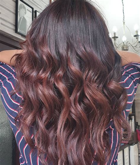 A subtle brown color that has a rich purple shade in it looks beautiful in the combination with highlights. 20 Best Mahogany Hair Colour Ideas For 2019 in 2020 | Hair ...