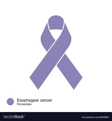 Esophageal Cancer Ribbon Royalty Free Vector Image