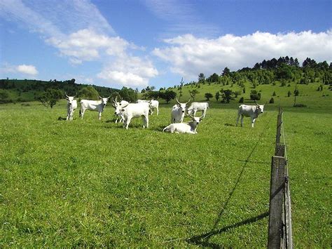 Magyarország szigoríthat a szomszédos országok polgáraival szemben. Hungarian government to encourage uptake of agricultural ...