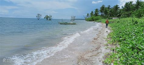 2 Hectares Beachfront Property For Sale In Pitogo Quezon