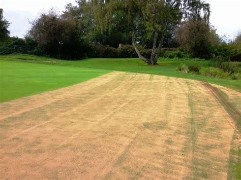 Quilchena Golf Club Turf Care Addressing Some Greens Drainage Concerns