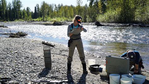 So You Want To Be A Fish Biologist Conservation In Action Medium